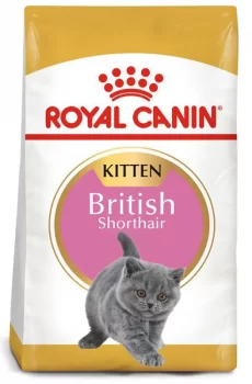 thuc-an-cho-meo-anh-long-ngan-con-royal-canin-british-shorthair-kitten